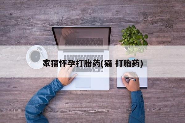 打胎药专卖微信卖流产药的微信家猫怀孕打胎药(猫 打胎药)